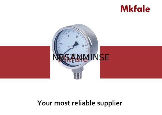 2 4 Zoll-Edelstahl-flüssiges Manometer, trockene Art Digital-Wasser-Manometer