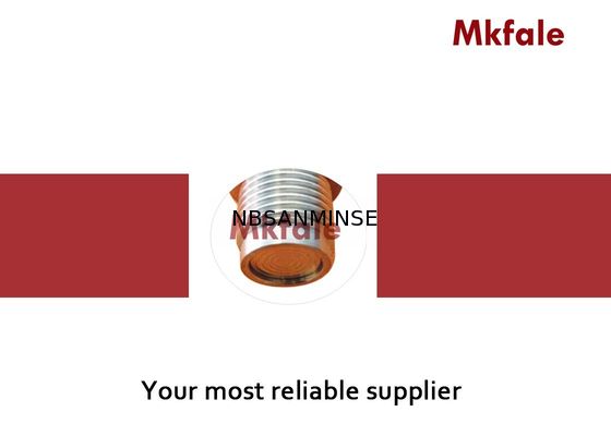 Reihe 24VDC, 12VDC - Sicherheits-Digital-Druckgeber-SMPBS10 Plastikwohnung 36VDC