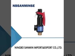 N-Typ Grauguss-Feder-Sicherheitsventil 35 bar mit Schlüssel