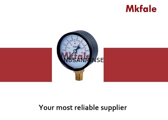 SMTB-Edelstahl-flüssiges Manometer-Schwarz-Stahlfall G/NPT/anderer Faden